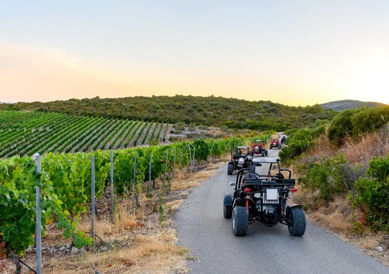 4. Embark on a Buggy Safari Tour left image