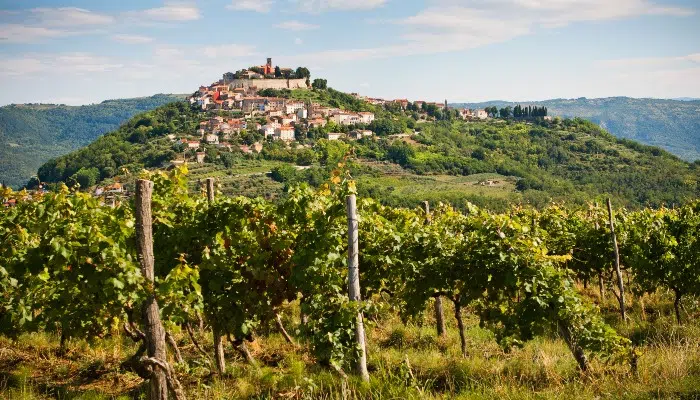 Foodie tours of Istria left image