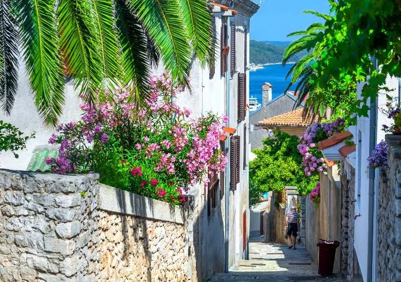 Losinj right image