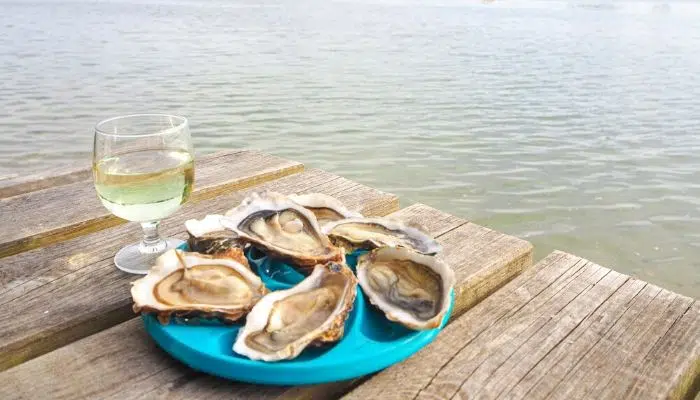 Taste fresh Oysters in Ston right image