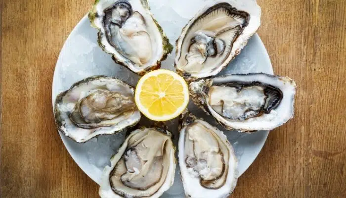 Taste fresh Oysters in Ston left image