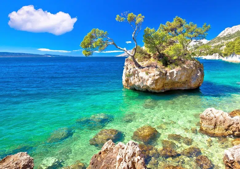 Punta Rata, Makarska Riviera right image