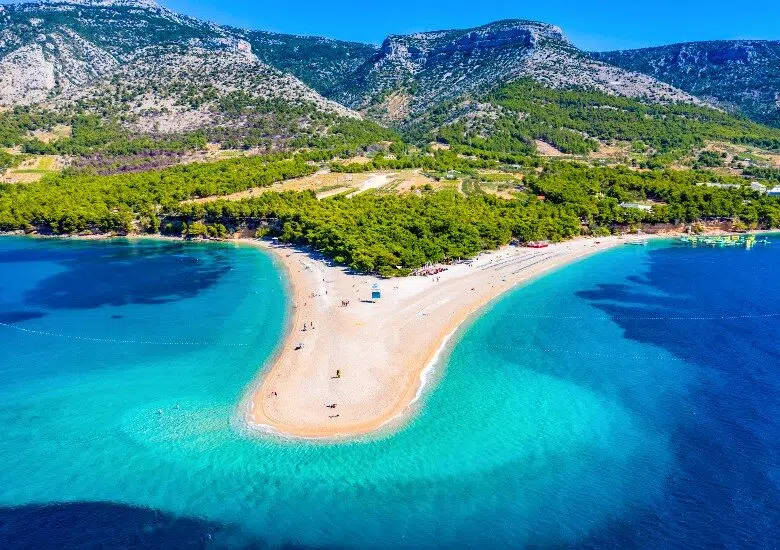 Brac right image