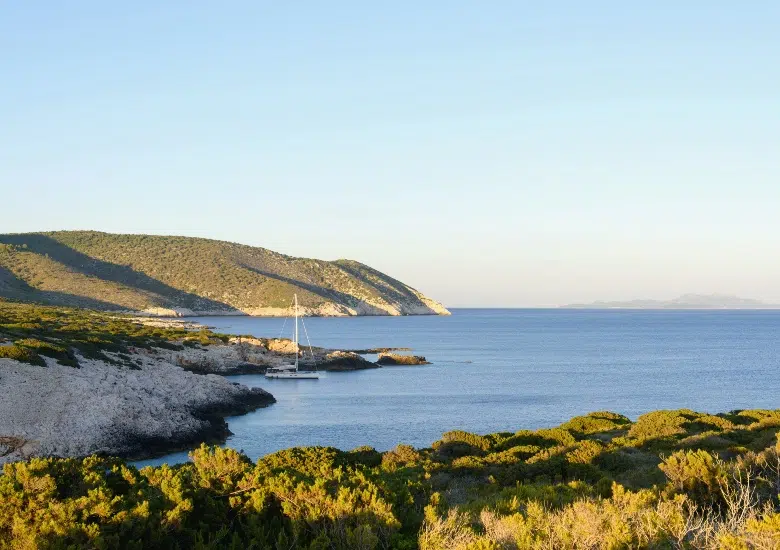 Te Vega, Sušac Island left image