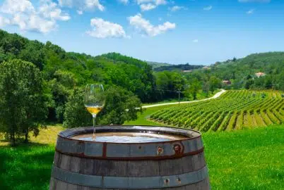 ROVINJ: PRIVATE LUXURY WINE TASTING TOUR
