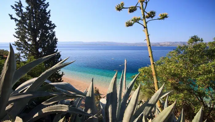Murvica Beach left image