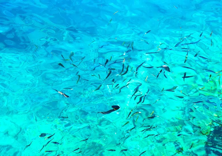 Makarska Riviera right image