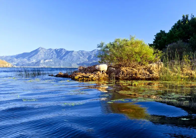 Hike Around Lake Skadar left image