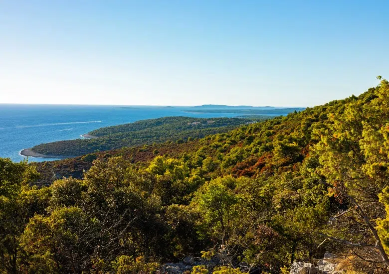 Island of Losinj right image