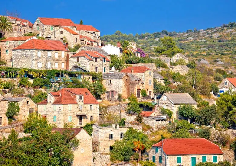 Brac left image
