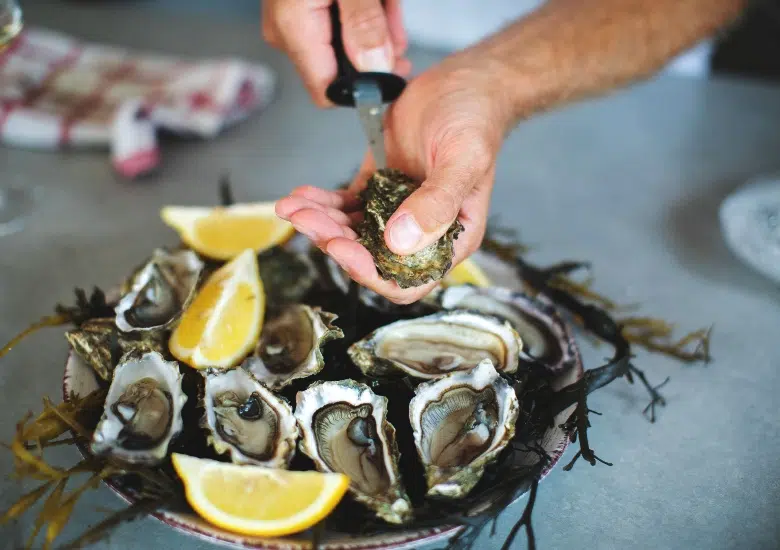 Oyster Tasting right image