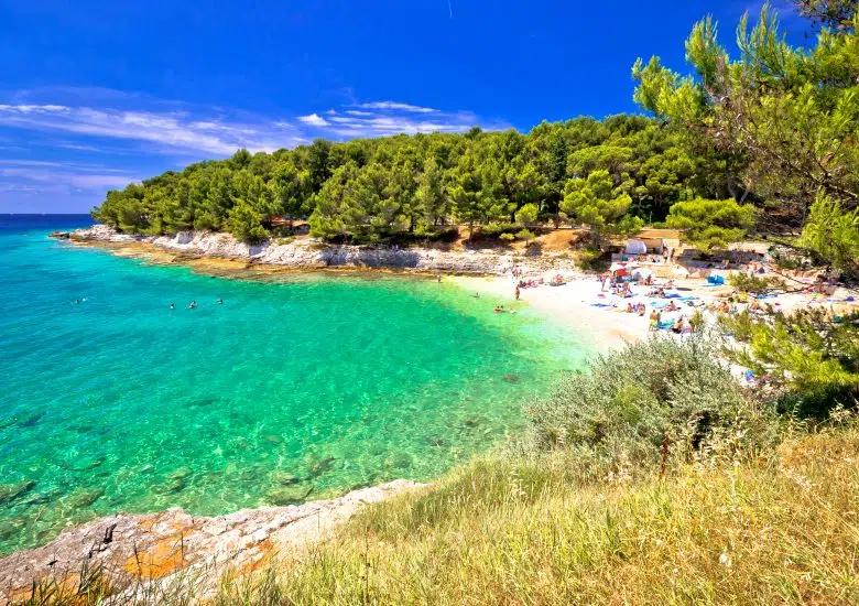 Beaches right image
