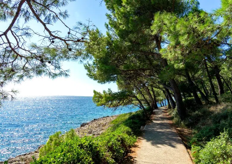 Losinj right image