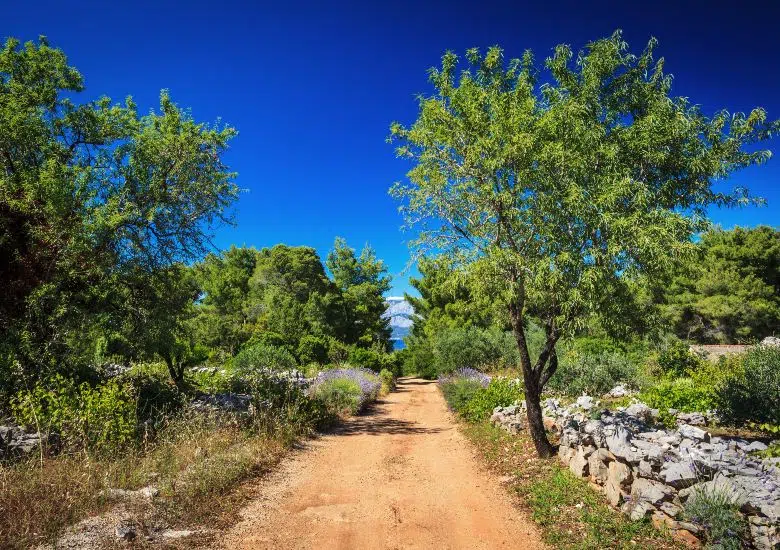Cycle the Island’s Coastal Paths right image