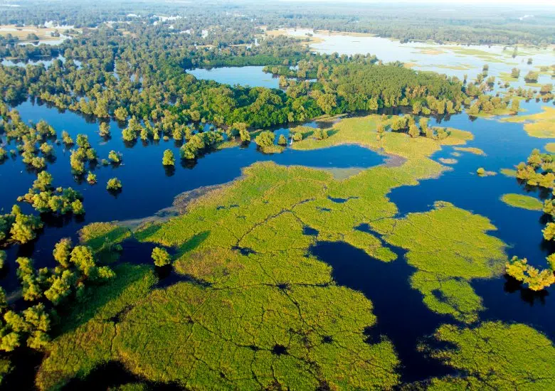 Slavonia left image