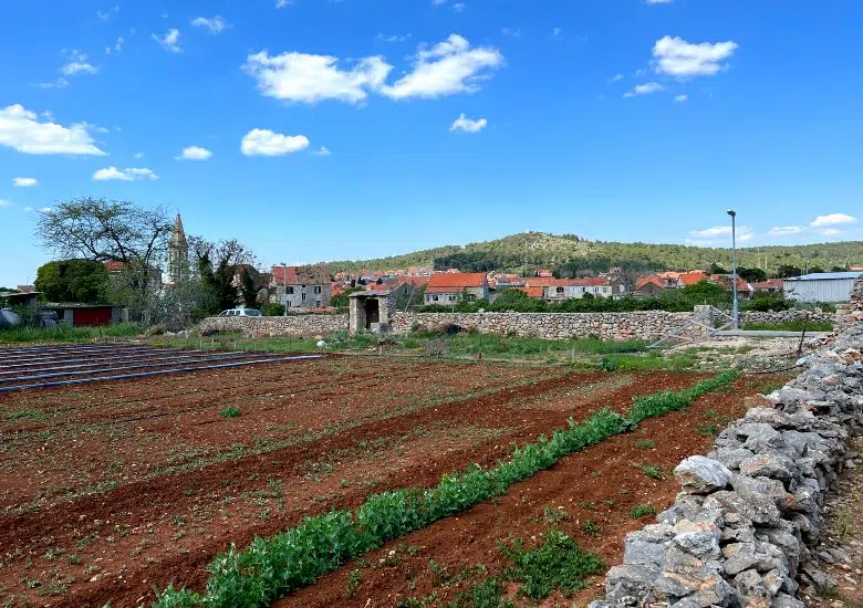 Visit the UNESCO Stari Grad Plain right image