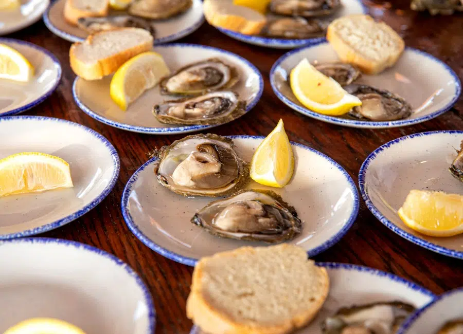 Croatia oysters
