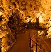 Postojna Cave