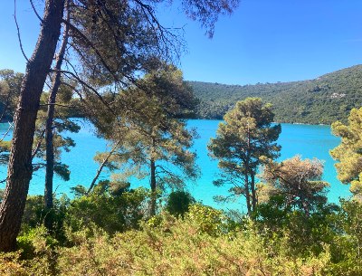 Mljet