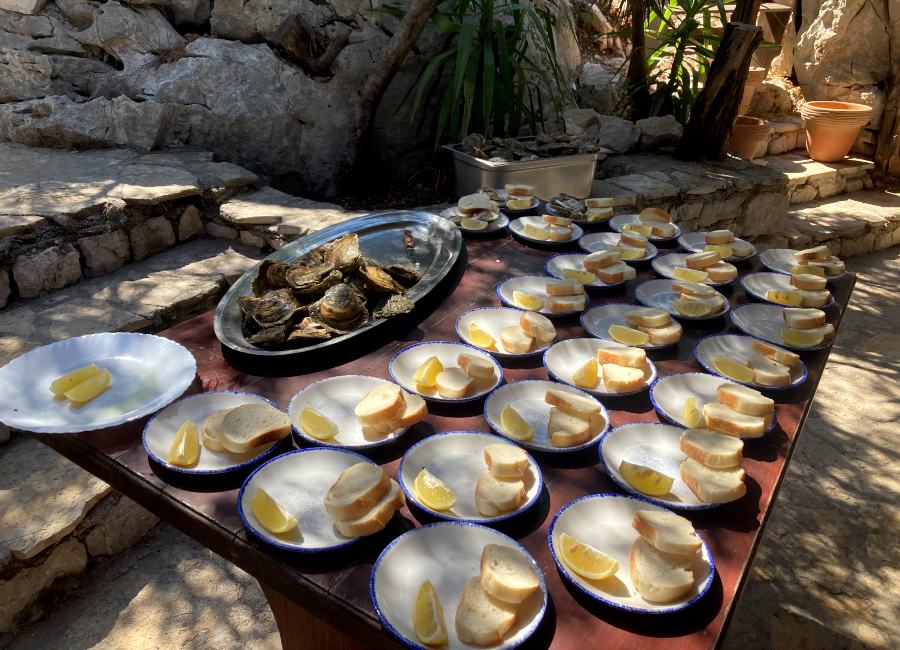 Oysters